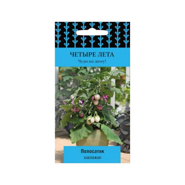 02По5060 Баклажан Полосатик (сер.Четыре лета) (А) ЦВ) 5 шт,