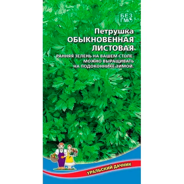 Петрушка Обыкновенная листовая