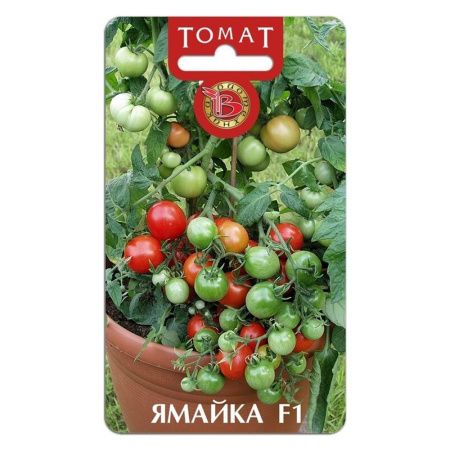 02Би3064 Томат декоративный Ямайка F1  NDS