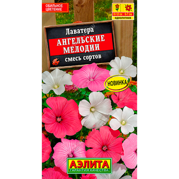 Лаватера Ангельские мелодии, смесь сортов