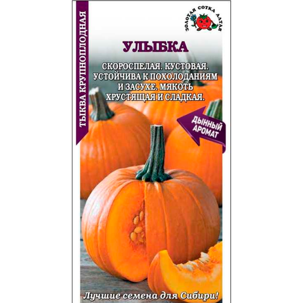 Тыква Улыбка