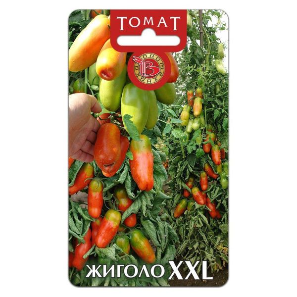 02Би3087 Томат Жиголо XXL NDS