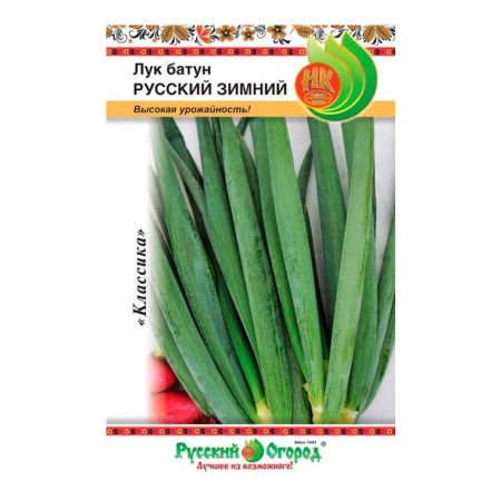02Ру3688 Лук батун Русский зимний (1г).