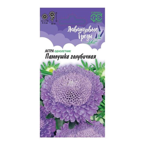 Га019926 Астра Пампушка голубичная, однолетняя (помпонная) 0,3 г серия Лавандовые грёзы