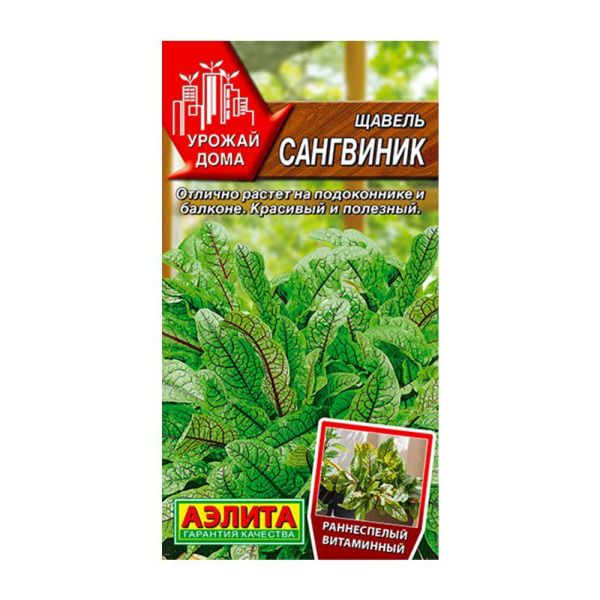 02Аэ1247 Щавель Сангвиник