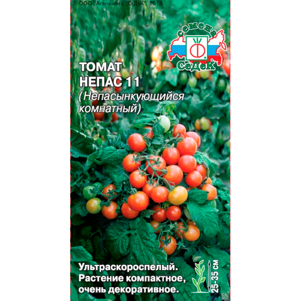томат Непас 11 Непасынкующийся Комнатный