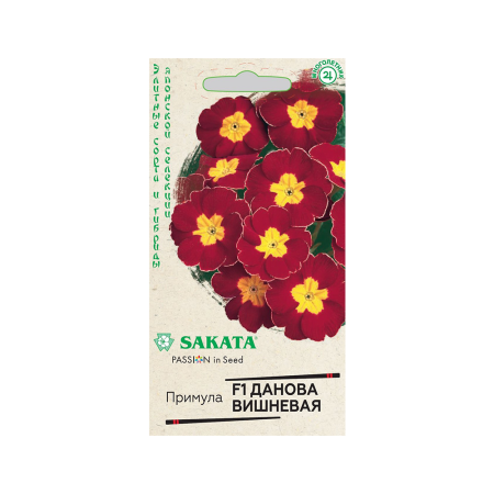 Примула F1 Данова вишневая  Гавриш