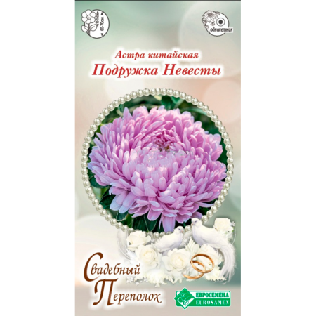 Астра ПОДРУЖКА НЕВЕСТЫ китайская (5 шт)