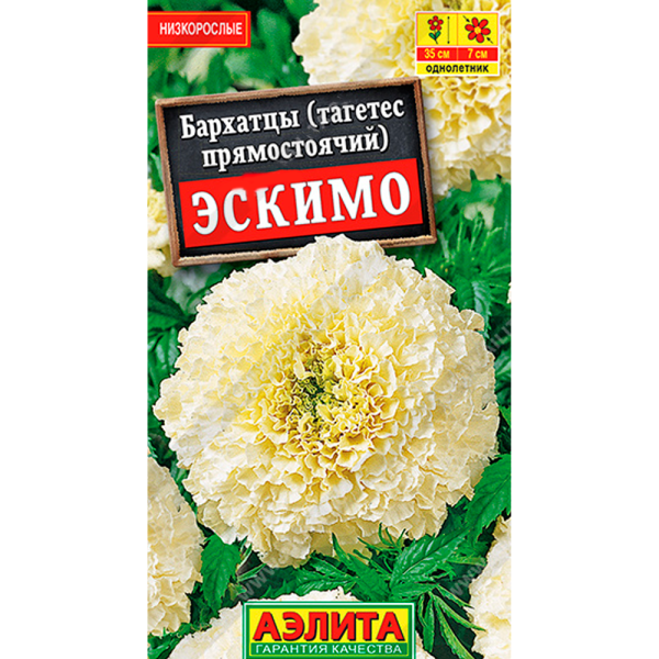 Бархатцы Эскимо прямостоячие