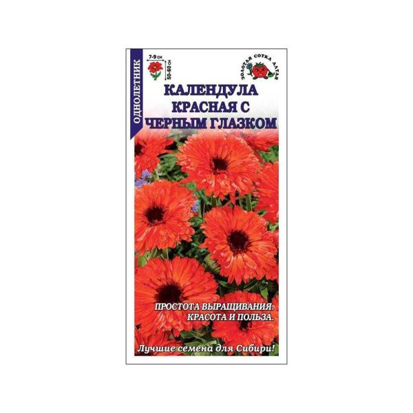 02Зо0528 Календула Красная с черным глазком -Сотка- 0,3 г-600 NDS