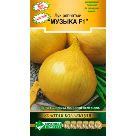 Лук репчатый МУЗЫКА F1