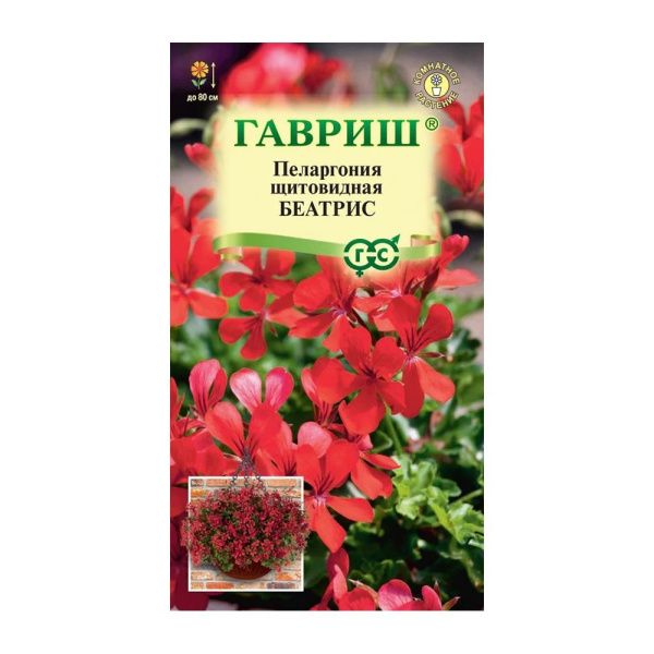 Га031328 Пеларгония Беатрис, ампельная 3 шт. Н22