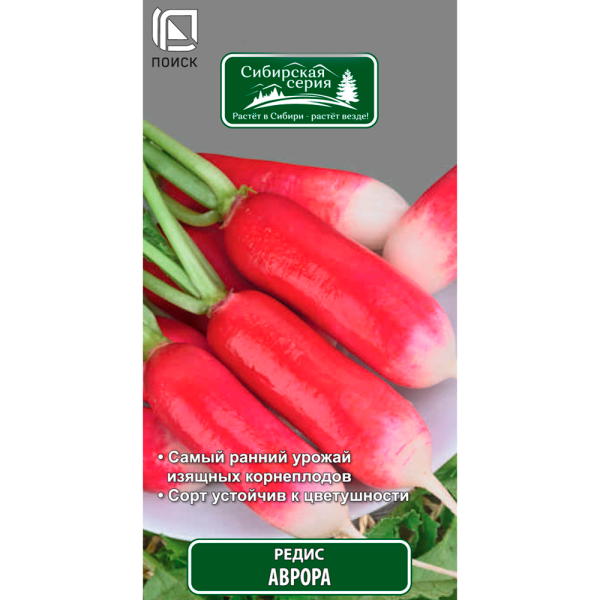Редис Аврора (сиб.серия) (А) (ЦВ) 3гр