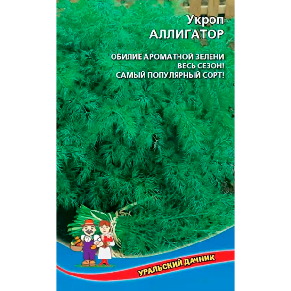 Укроп Аллигатор