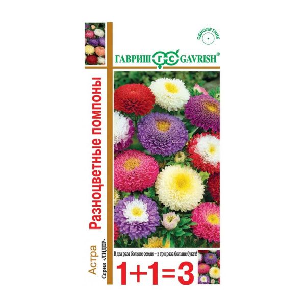 Га019936 Астра Помпонная, однолетняя (смесь) 0,3 г